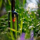 Vino San giovese Superiore DOCG Famiglia Pecci