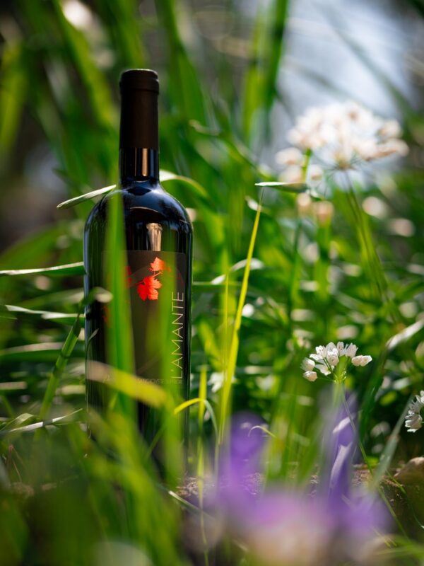 Vino San giovese Superiore DOCG Famiglia Pecci
